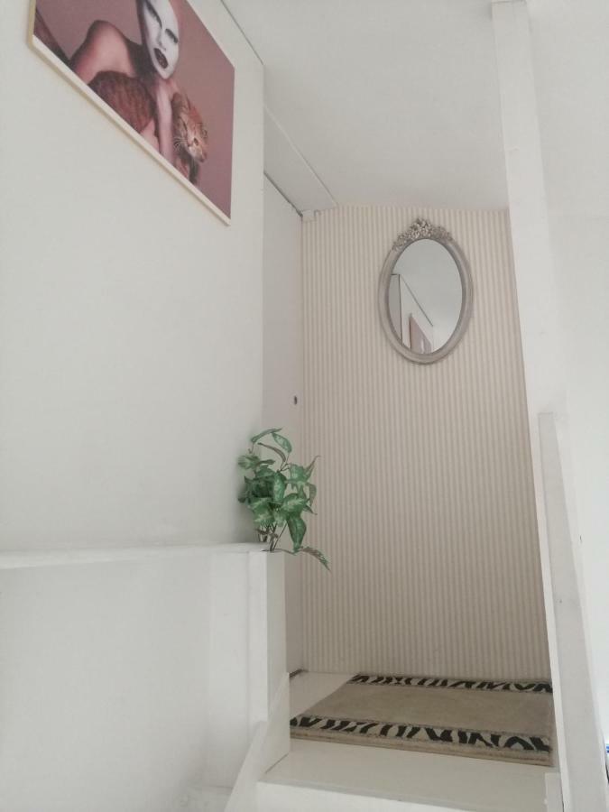 Helena Daire Zaton  Dış mekan fotoğraf